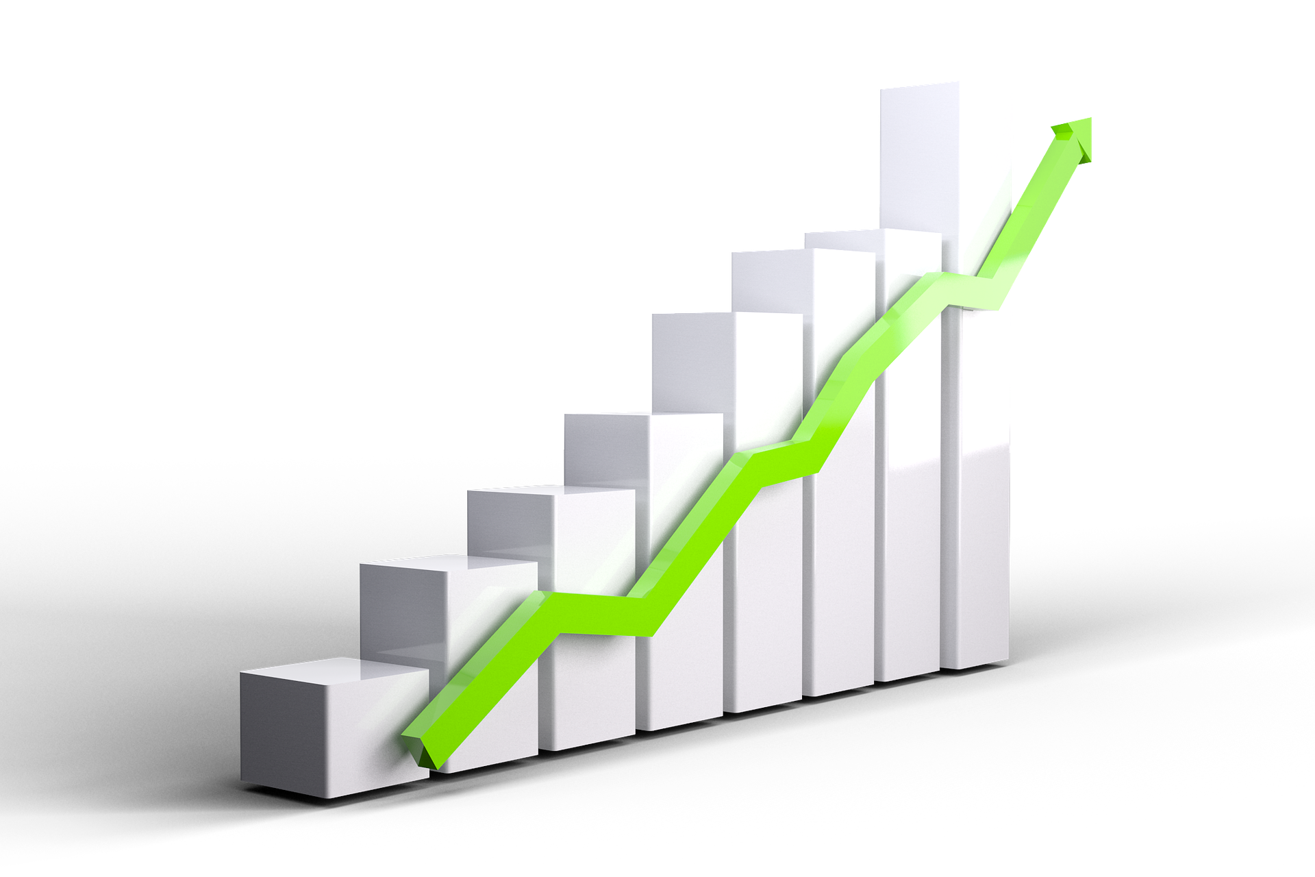 Russell Driscoll | Organisational Performance Success