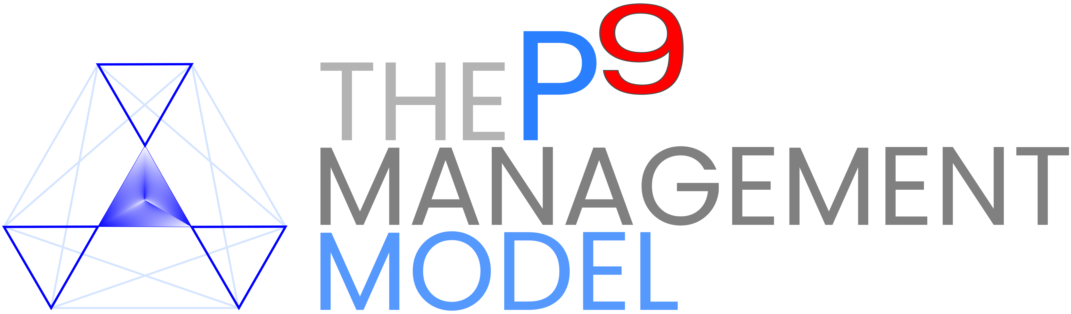 The P9 Management Model logo